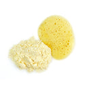 VITAMIN C SET